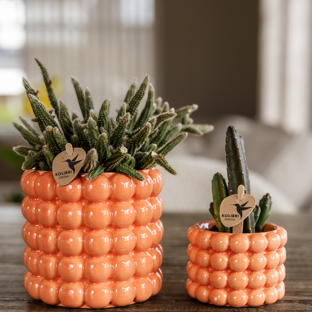 Kolibri Home | Poppy sierpot - Orange - Ø9cm