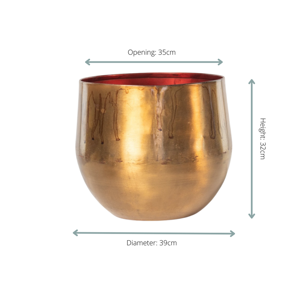 Ayka old camel - D39xH32