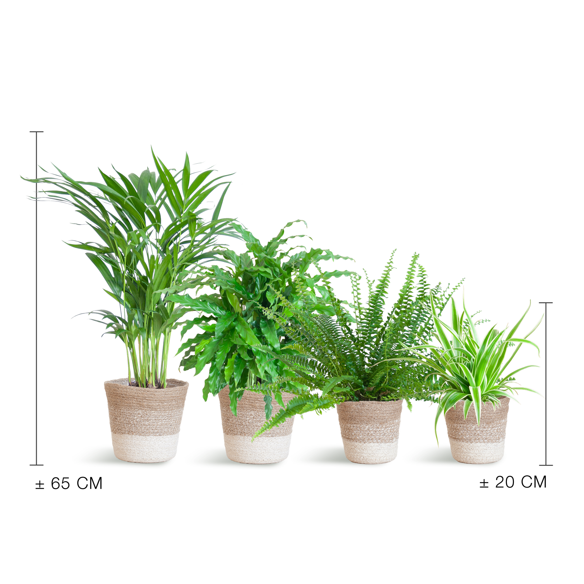 Diervriendelijke plantenset