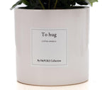 Coffea Arabica Gift "To Hug" WITH GREETING CARD! - Ø12cm - ↕20cm
