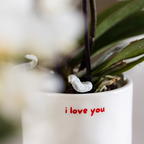 Kolibri Home | I love you sierpot - Ø9cm