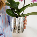 Kolibri Home | Disco sierpot - Ø9cm