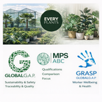 ARTIFICIAL Strelitzia Nicolai - 170cm