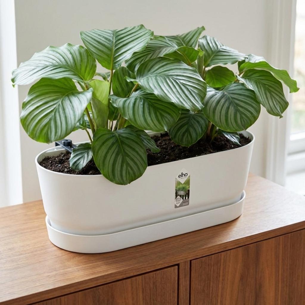 Elho Pot Greenville Easy Balcony D25cm - Wit