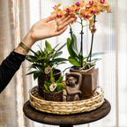 Kolibri Home | Leopard sierpot - Ø9cm