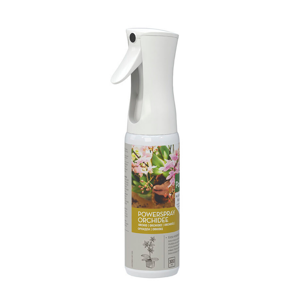 Spray puissant Pokon Orchidée 300 ml