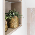 Kolibri Greens | Planten set - met 3 succulenten mix - incl. keramieken sierpotten | potmaat Ø9cm