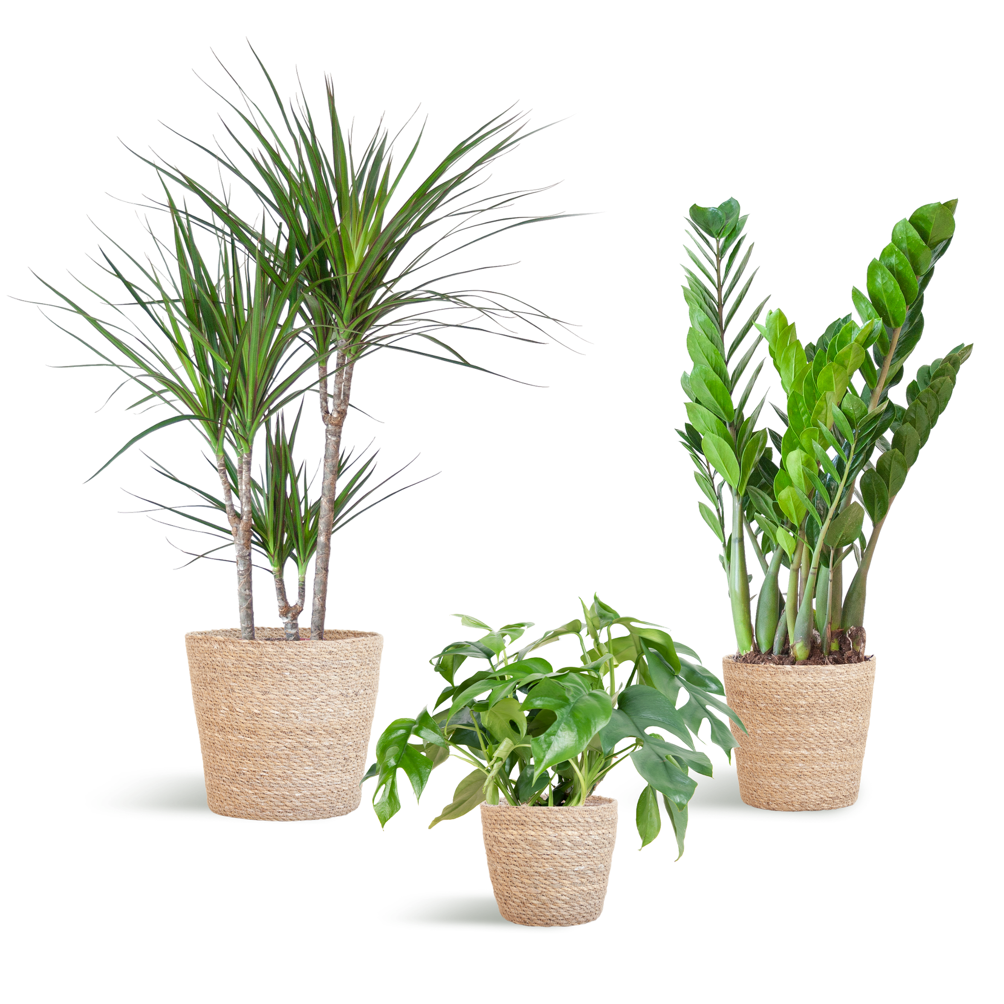 Schaduw Plantenbox - medium - met mand Sofia