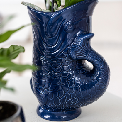 Hummingbird Orchids | Set of Lima orchids and succulents in ceramic pots - pot sizes Ø9cm &amp; Ø6cm | flowering houseplant - fresh from the grower