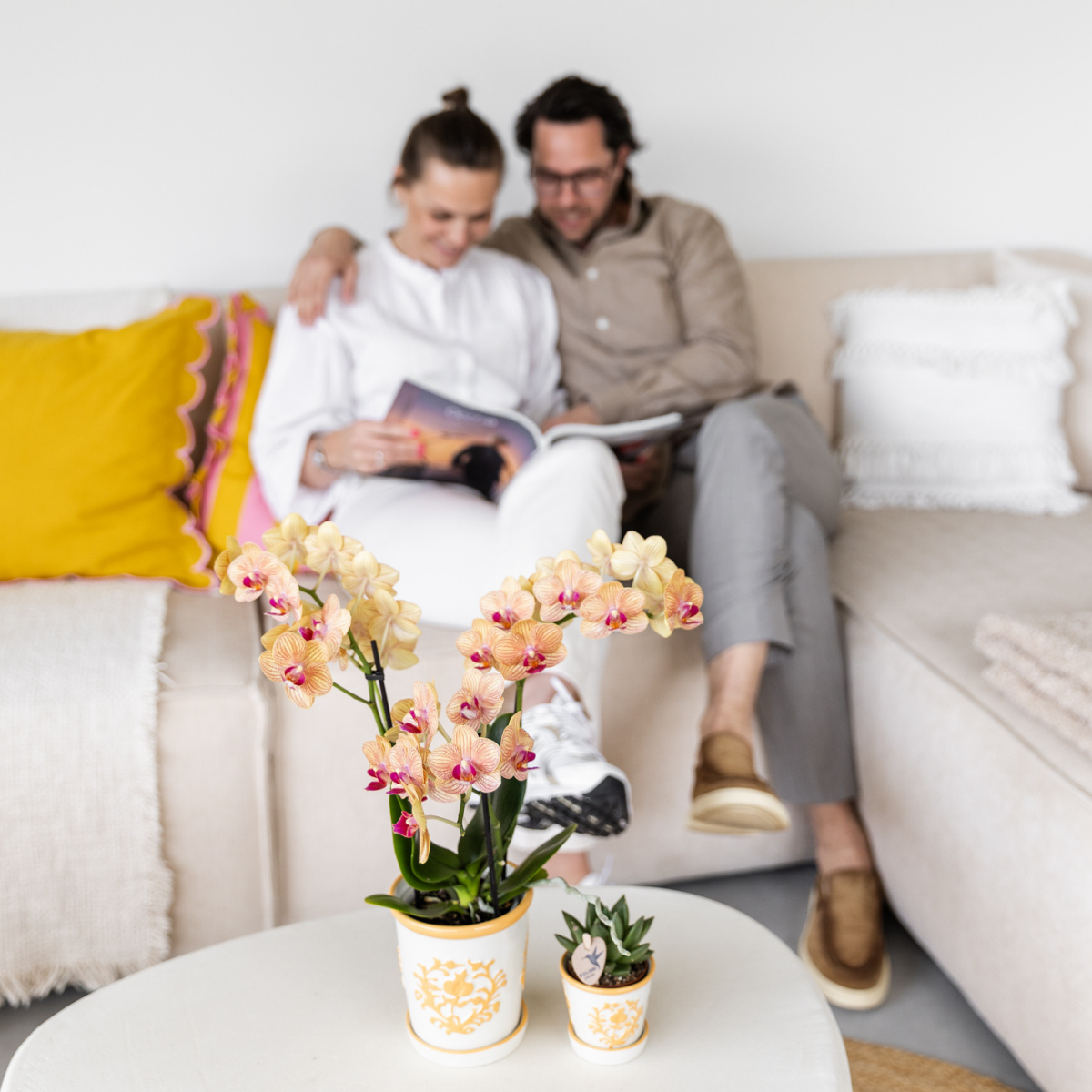 Orchidée colibri | Orchidée jaune Lima + Malaga en pot décoratif orange clair - diamètre du pot : 9 cm | Plante d'intérieur fleurie - Directement du producteur