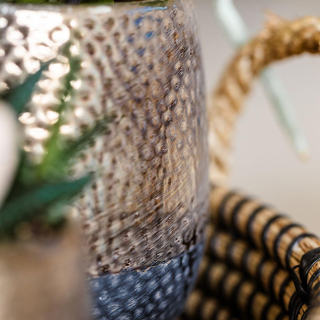 Kolibri Company | Coffret cadeau Nature Urbaine | Ensemble de plantes comprenant une orchidée Phalaenopsis et des succulentes, avec pots décoratifs en céramique