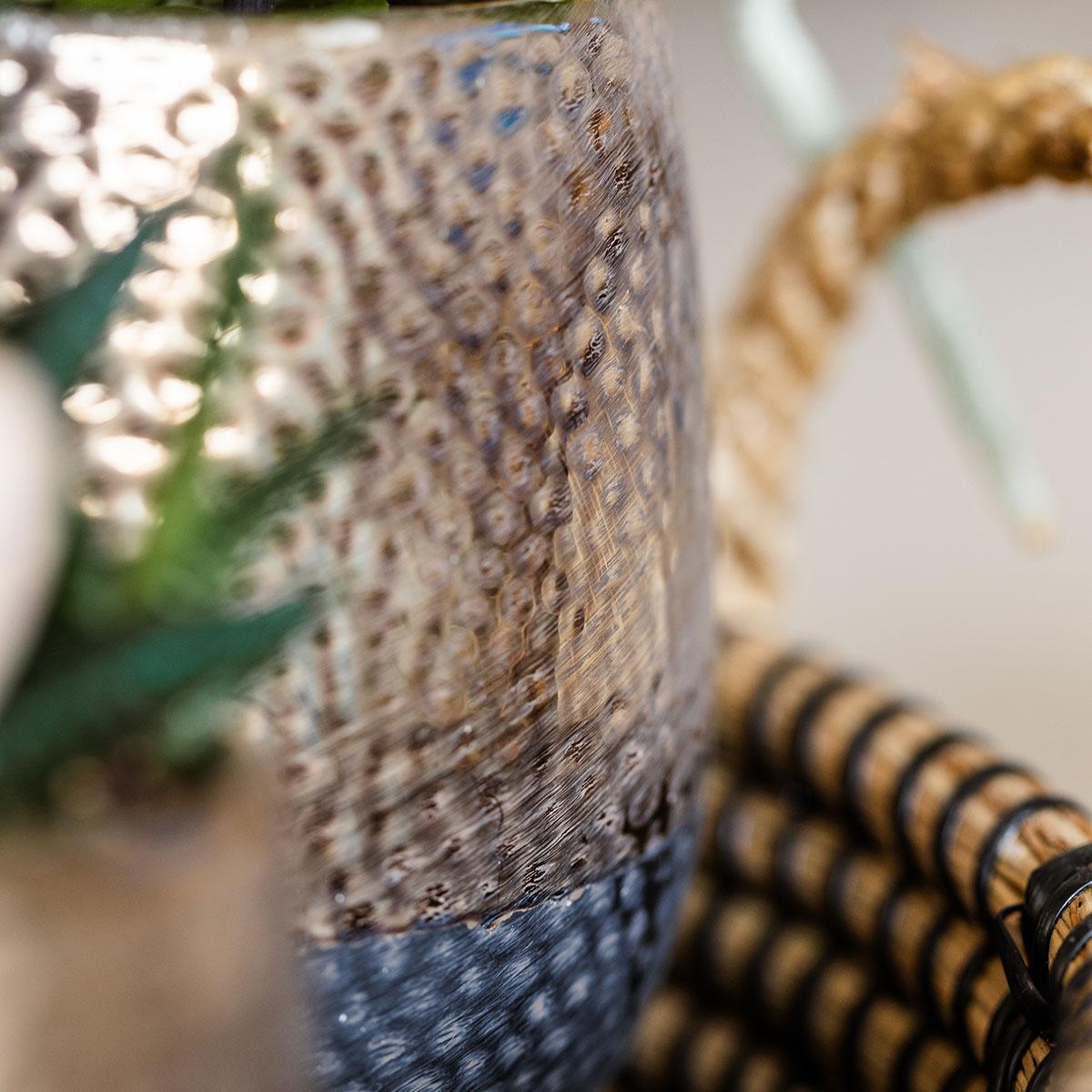 Kolibri Company | Coffret cadeau Nature Urbaine | Ensemble de plantes comprenant une orchidée Phalaenopsis et des succulentes, avec pots décoratifs en céramique