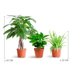 Diervriendelijke Plantenbox - klein - zonder sierpot - Ø12