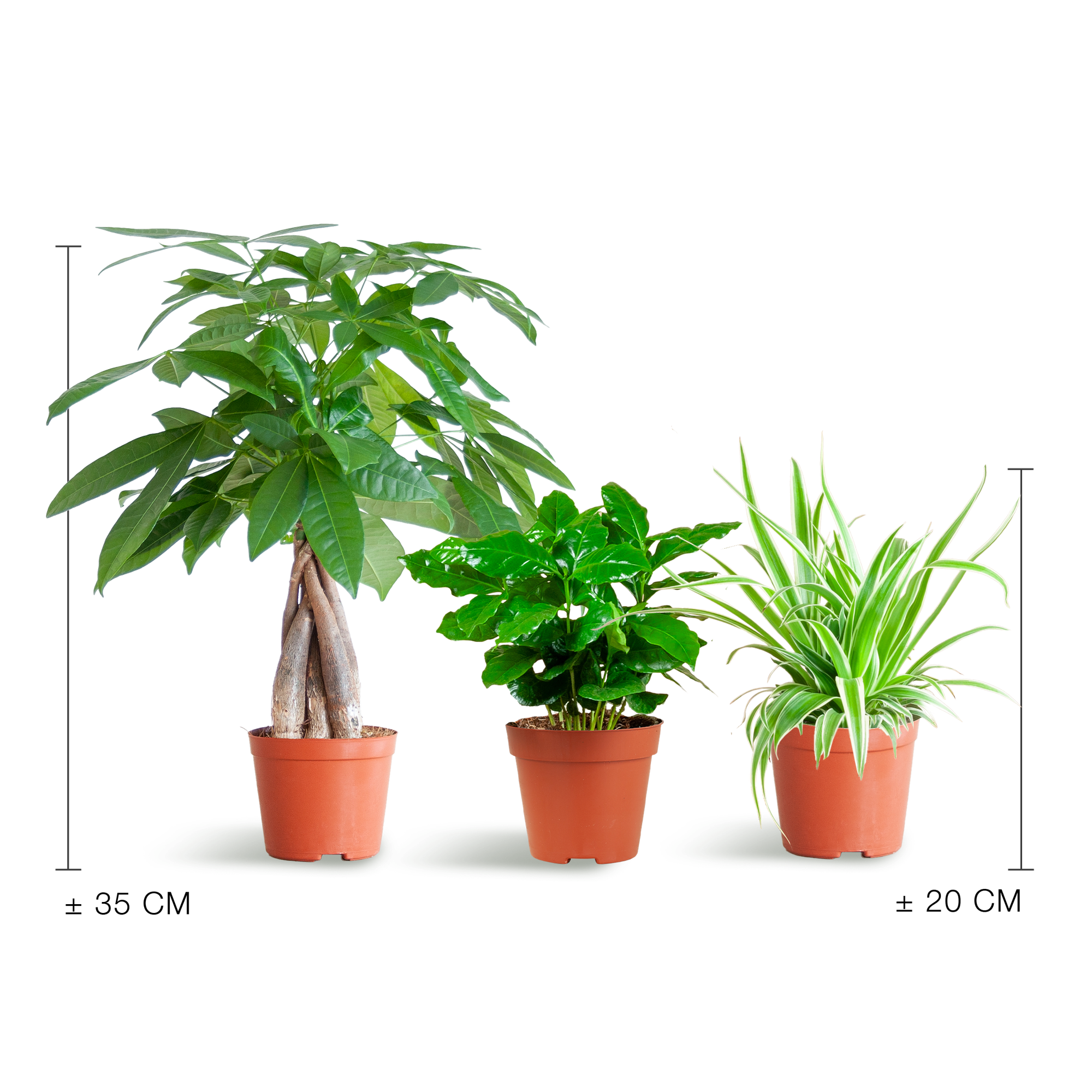 Diervriendelijke Plantenbox - klein - zonder sierpot - Ø12