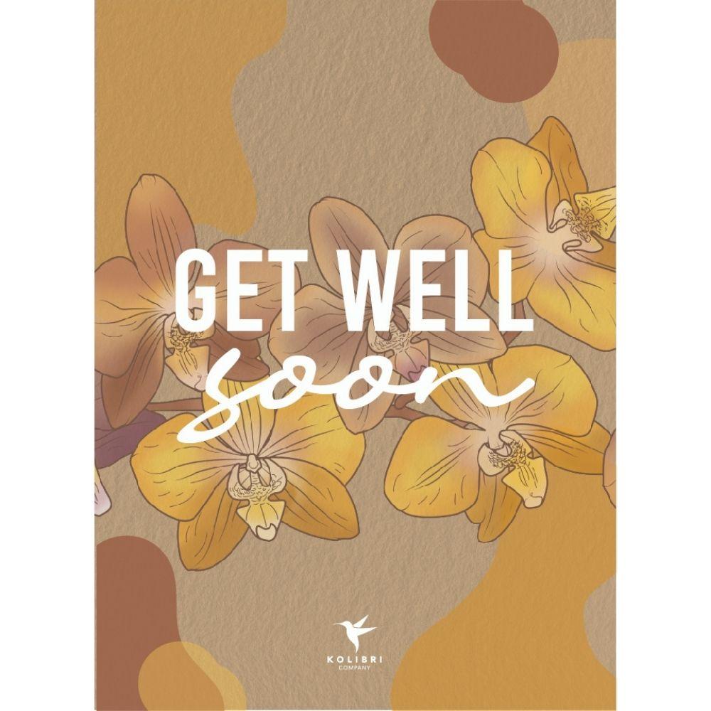 Orchidées Kolibri | Plante cadeau pour souhaiter un prompt rétablissement | Orchidée de Lausanne avec pot, carte et sac cadeau