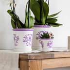 Kolibri Orchids | Paarse orchidee Vienna + Malaga sierpot Lila - potmaat Ø9cm | bloeiende kamerplant - vers van de kweker