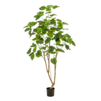 Kunstplant - Ficus umbellate - Afrikaanse vijg - 180cm