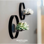 ROOTLESS Succulent Echeveria Pulidonis op Muurdeco standaard zwart Ø20 cm - ↕20 cm
