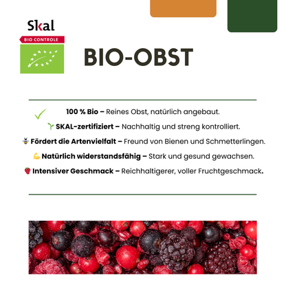 6 x Bio Stachelbeerpflanzen - Ø 13 cm - ↨ 20 cm