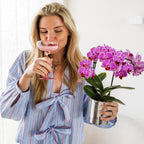 Kolibri Orchids | paars/roze Phalaenopsis orchidee potmaat Ø9cm |  Vienna | bloeiende kamerplant - vers van de kweker