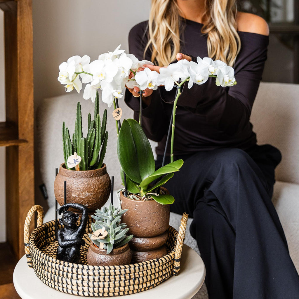 Kolibri Home | Decoratieschaal - Zwart gevlochten dienblad Ø30cm