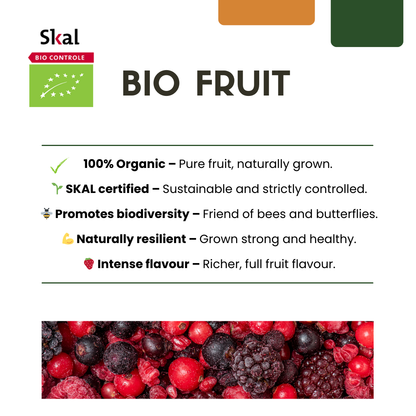 6 x Bio Stachelbeerpflanzen - Ø 13 cm - ↨ 20 cm