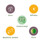 Green boutiQ - Kamerplant - Chlorophytum comosum Bonnie - Krullende Graslelie - Huisdiervriendelijke Plant - Groen - 1 Plant - met Potter Grijs - Pot 12cm - Hoogte 20cm