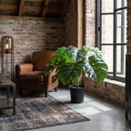 ARTIFICIAL Monstera Deliciosa - 45cm