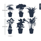 Planten set - Groen - 6 groene planten - potmaat 6