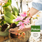 Engrais bio pour orchidées Pokon 250 ml