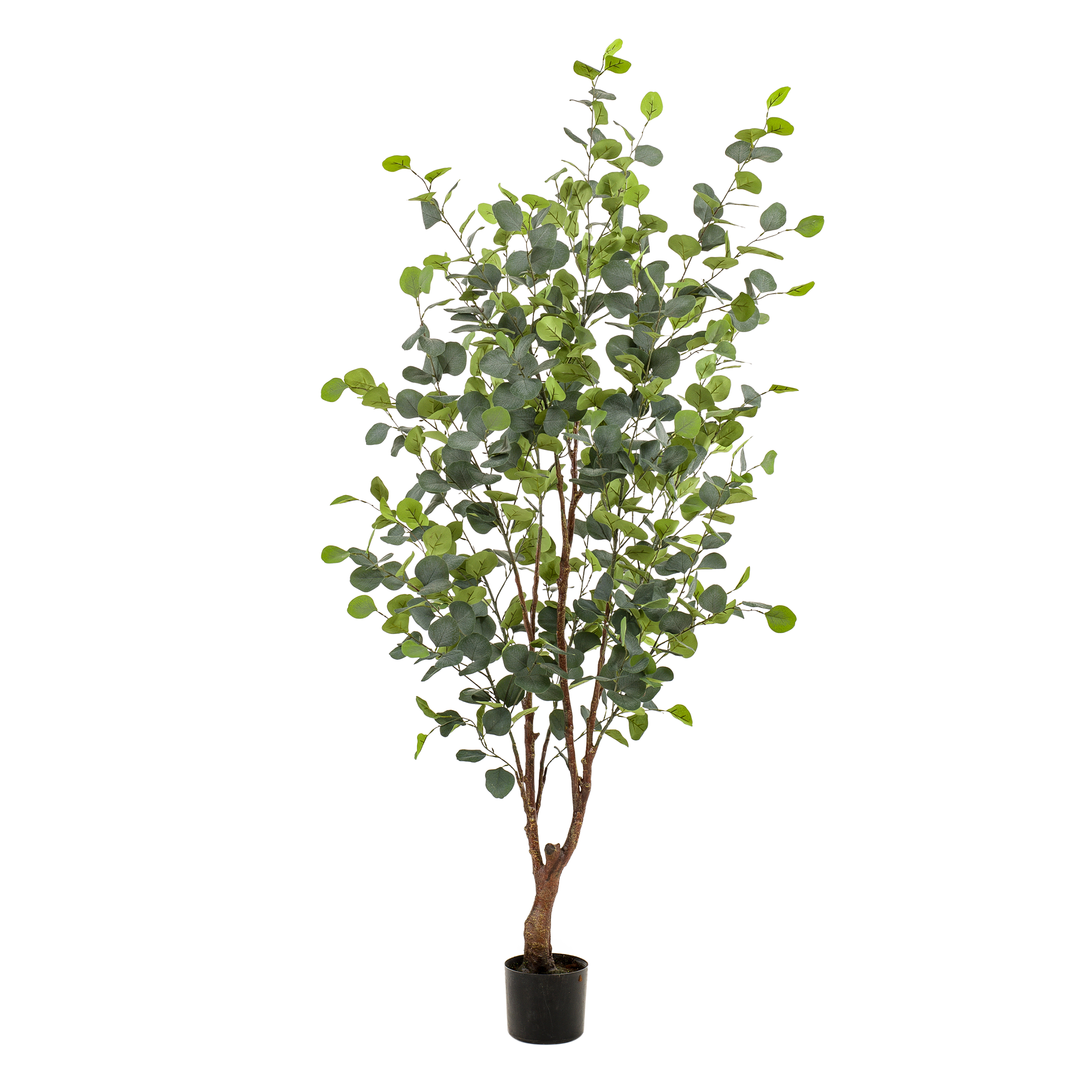 Kunstplant - Eucalyptus - Blauwe Gomboom  - 140 cm