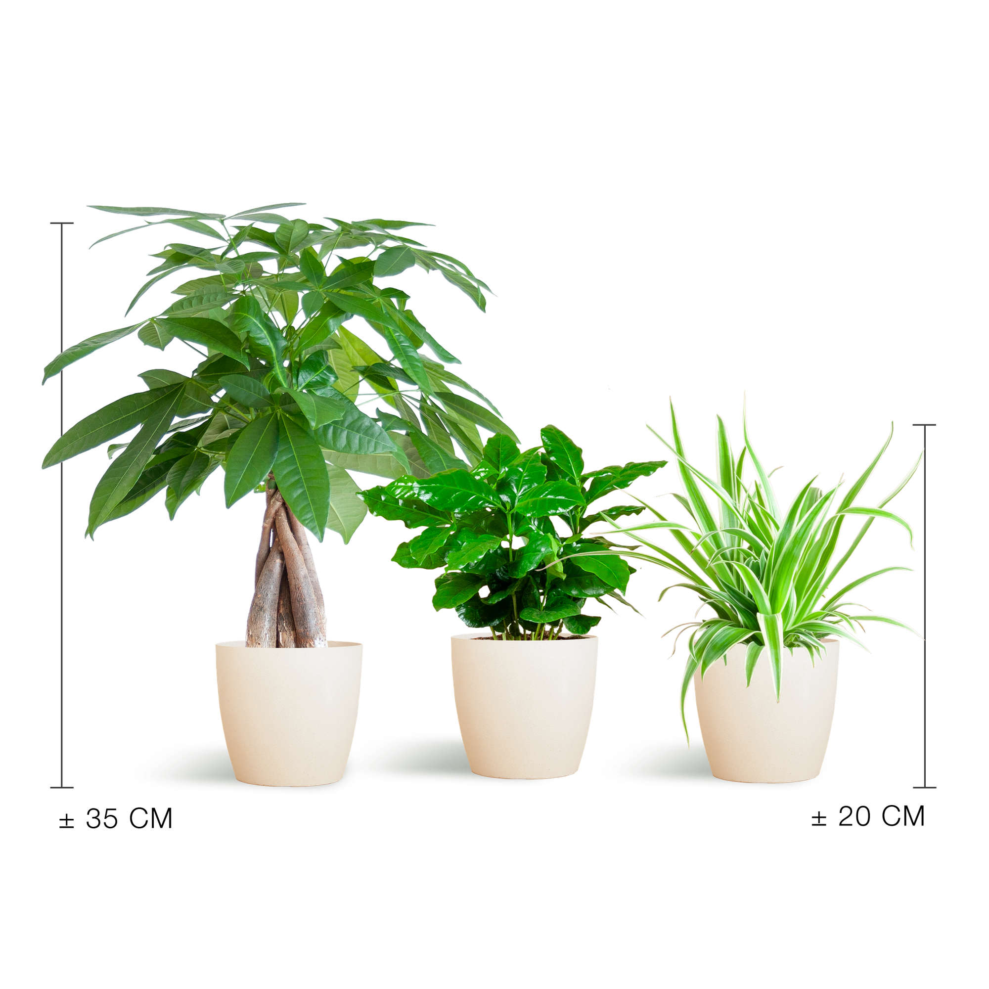 Diervriendelijke Plantenbox - klein - met sierpot Viber Wit - Ø12