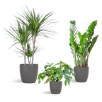 Schaduw Plantenbox - medium - met vibers pot grijs