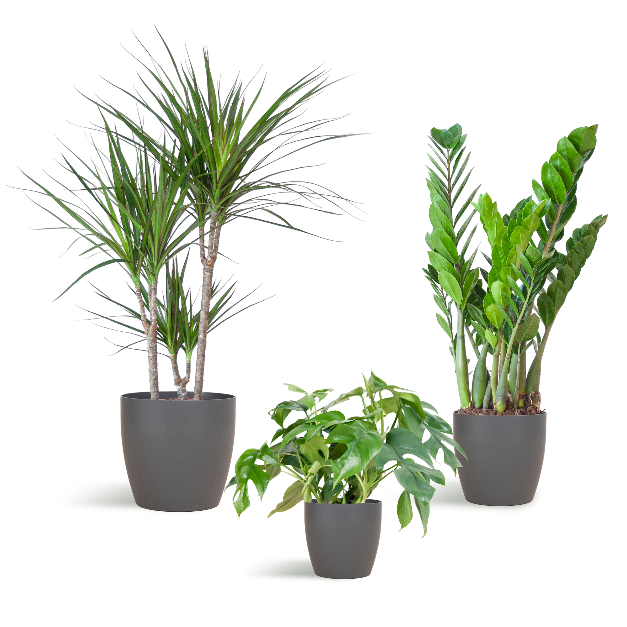 Schaduw Plantenbox - medium - met vibers pot grijs