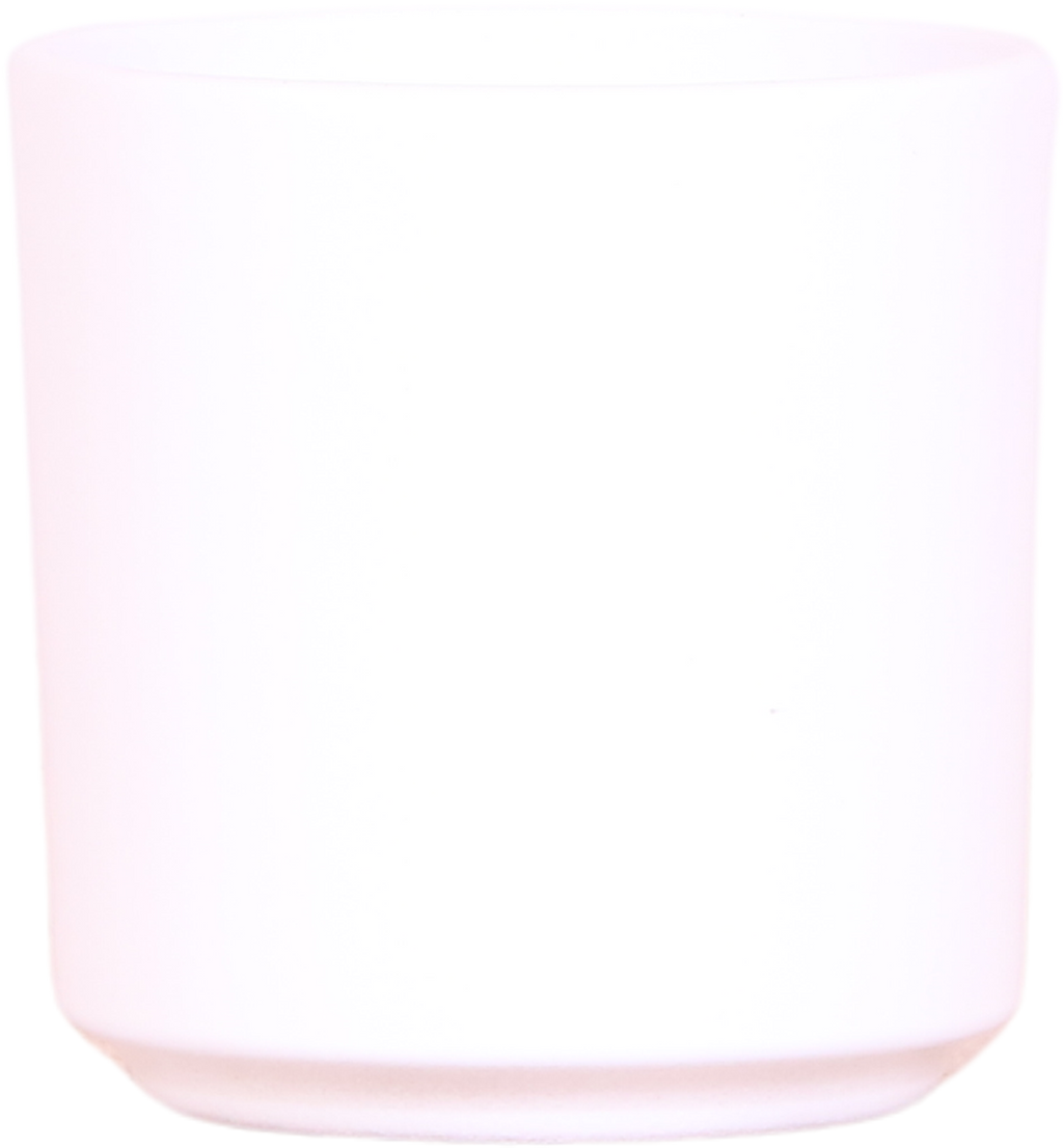 Orchidées Kolibri | Plante cadeau pour souhaiter un prompt rétablissement | Orchidée de Lausanne avec pot, carte et sac cadeau