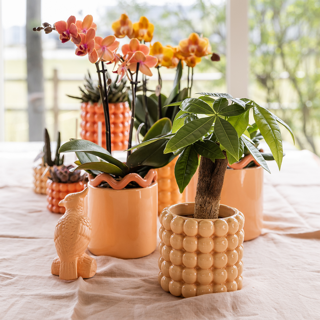 Kolibri Home | Poppy sierpot - Peach - Ø9cm