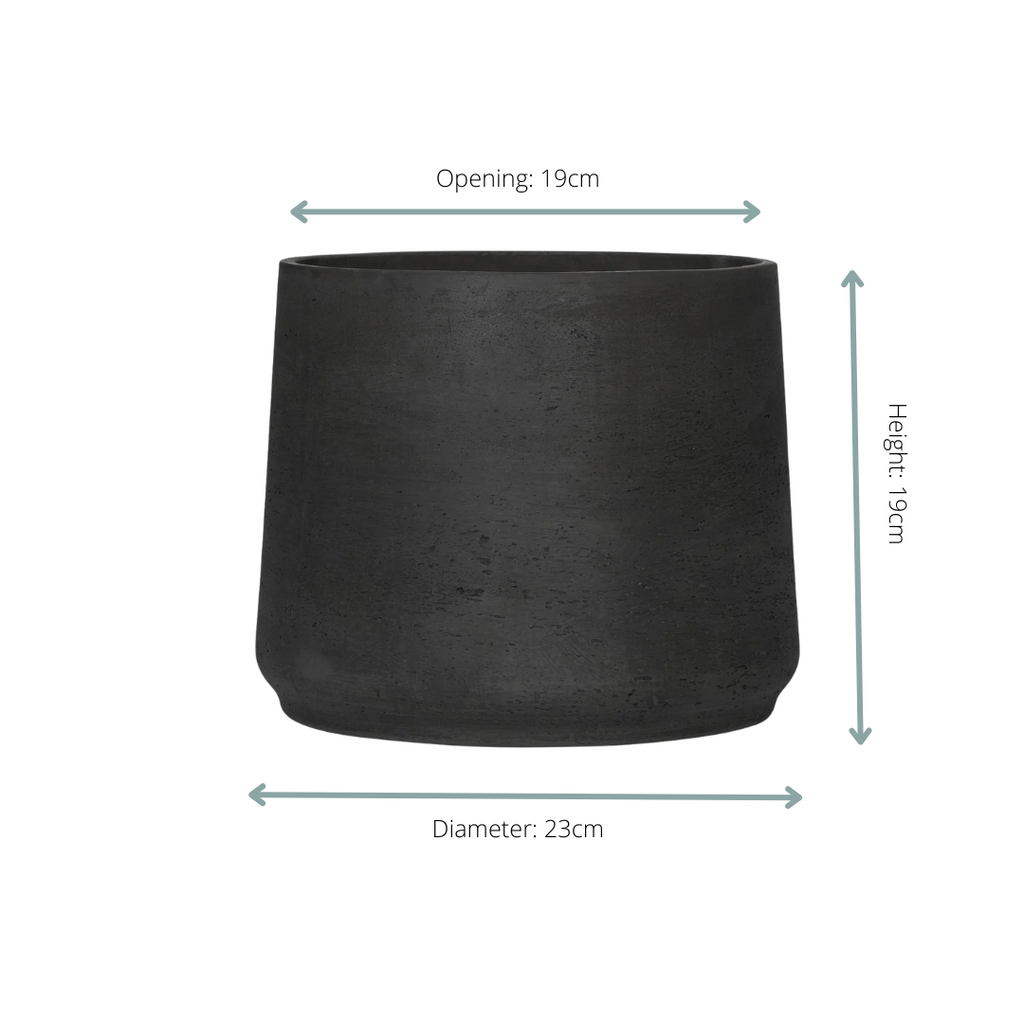 Jumbo Patt Black Washed - D23 x H19