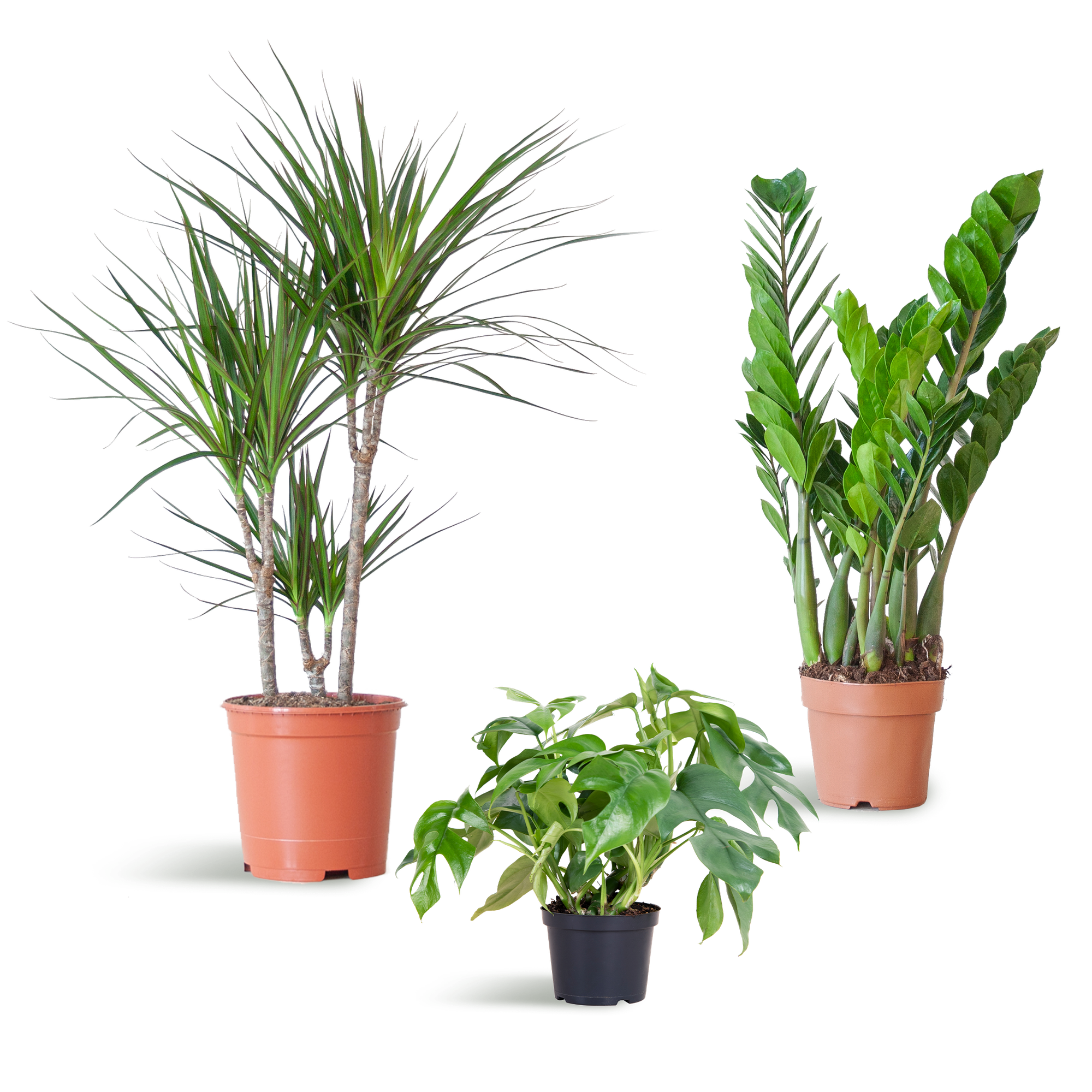 Schaduw Plantenbox - medium - zonder sierpot