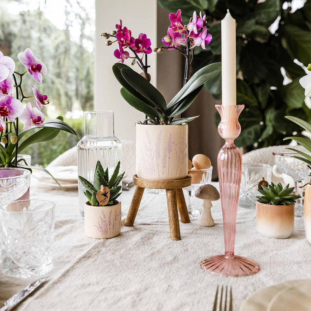 Kolibri Home | Floral bloempot - Lavendel - 9cm