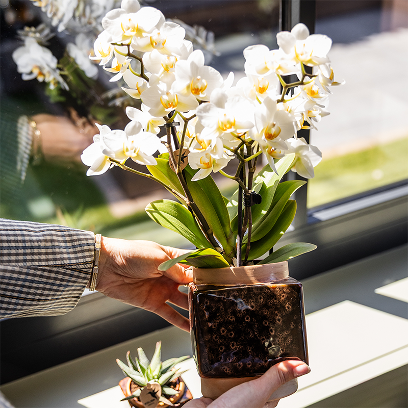 Kolibri Home | Classy Cube sierpot - Ø9cm