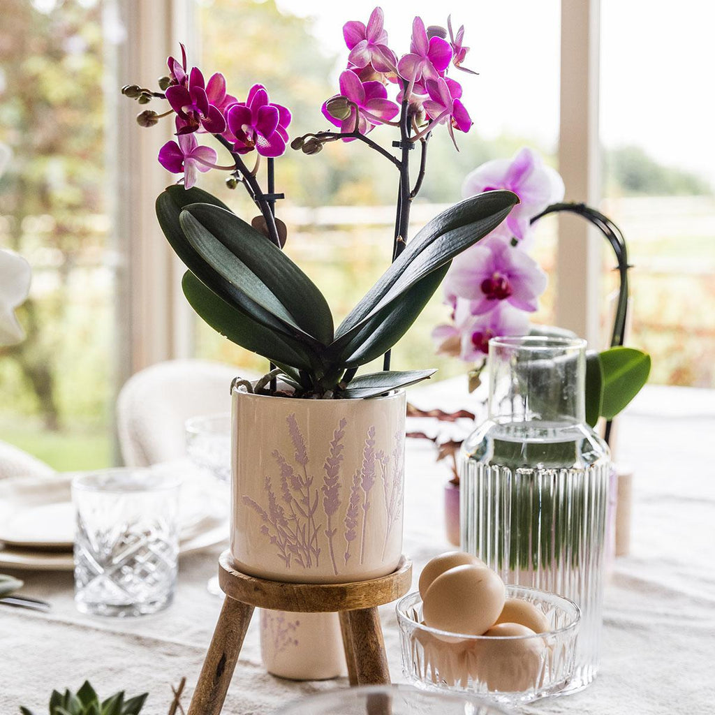 Kolibri Home | Floral bloempot - Lavendel - 9cm