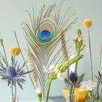 Flower Fest - brievenbus bloemen, incl. vaasjes en standaard