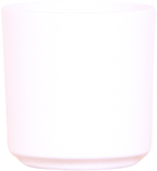 Orchidées Kolibri | Plante porte-bonheur | Orchidée de Lausanne avec pot, carte et sac cadeau