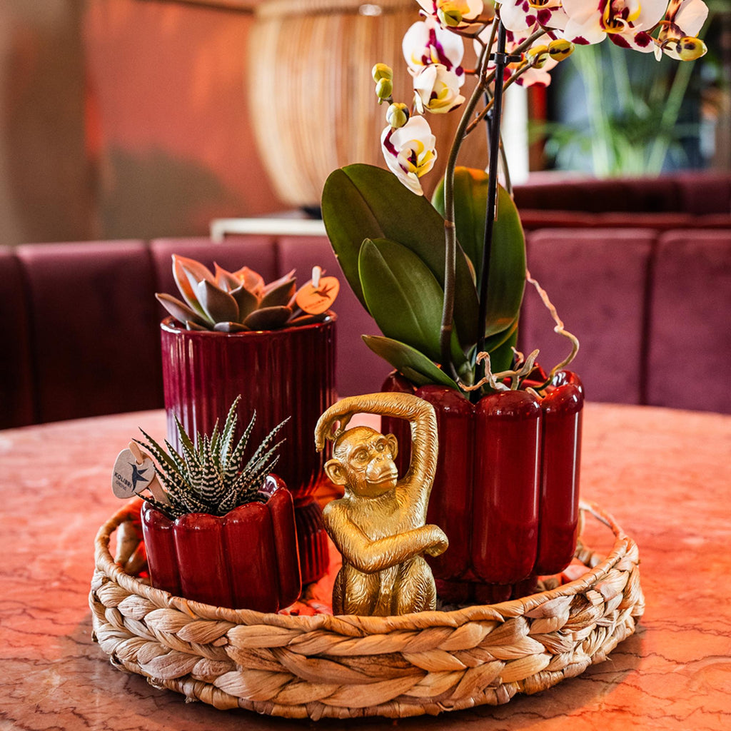 Kolibri Home | Ornament - Decoratie beeld Sitting Monkey - Gold