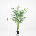 ARTIFICIAL Kentia palm - 170cm