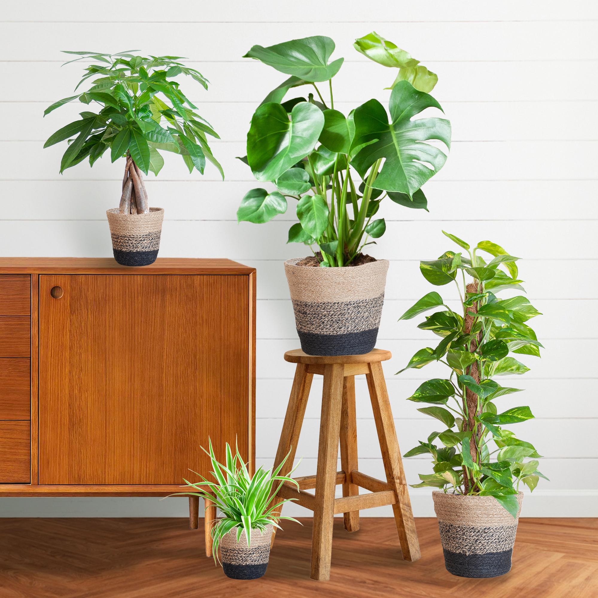 Easy care Plantenbox - medium - met Mand Lissabon zwart