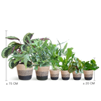 Diervriendelijke plantenset Large