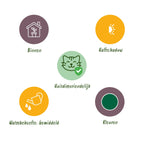 Green boutiQ - Kamerplant - Chlorophytum - Cyperus - Phlebodium - Marantha - Mix van 4 - Huisdiervriendelijke Planten - Groen - 4 Planten - met Potter Grijs - Pot 12cm - Hoogte 25cm