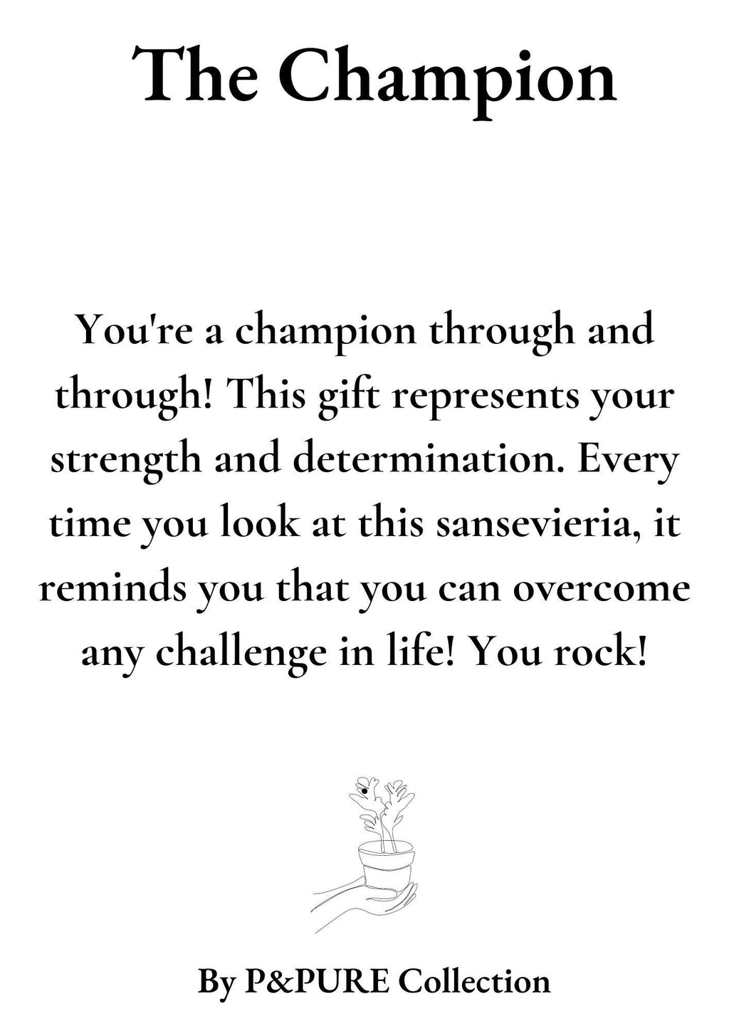 Sansevieria Geschenk „Der Champion“ MIT GRUßKARTE! - Ø12cm - ↕30cm