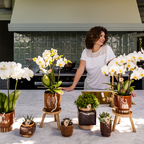 Kolibri Home | Classy Cube sierpot - Ø6cm